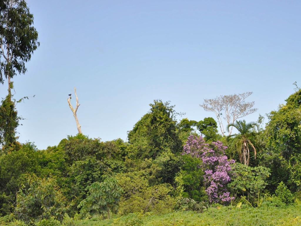 Village Mata Encantada Santo Andre  Ngoại thất bức ảnh
